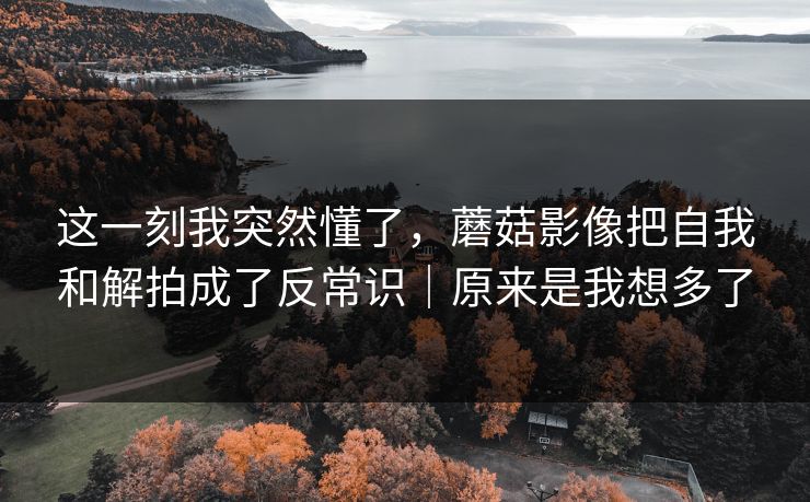 这一刻我突然懂了，蘑菇影像把自我和解拍成了反常识｜原来是我想多了