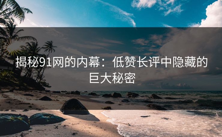 揭秘91网的内幕：低赞长评中隐藏的巨大秘密