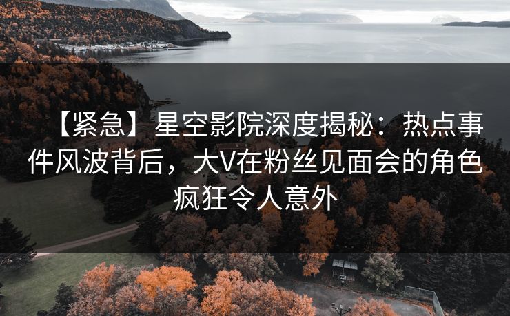 【紧急】星空影院深度揭秘：热点事件风波背后，大V在粉丝见面会的角色疯狂令人意外